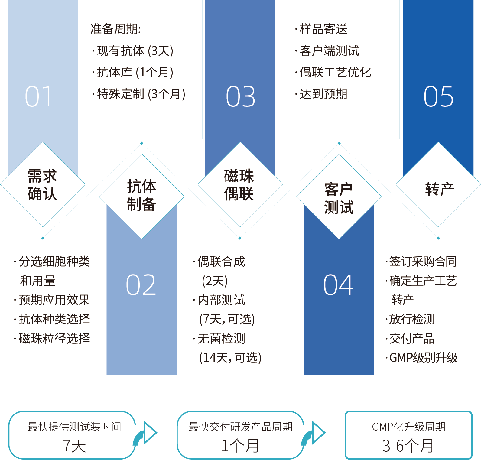 ag尊龙z6mg细胞分选激活磁珠/分选磁珠定制，定制流程