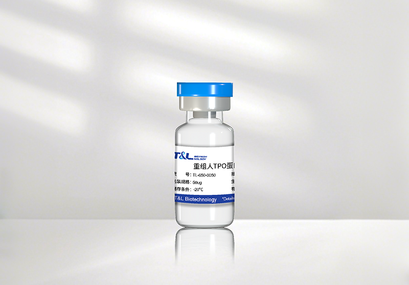 ag尊龙z6mg新品速递 | 重组人TPO蛋白震撼上市！精准调控造血，解锁干细胞培养新维度